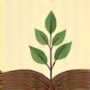 Abstract image of an open book with a growing plant, symbolizing knowledge and growth.